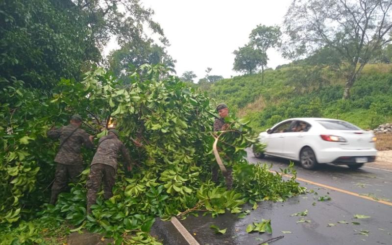 Ejército de Guatemala contribuyó en el despeje de carretera afectada por la caída de árboles en el departamento de San Marcos.