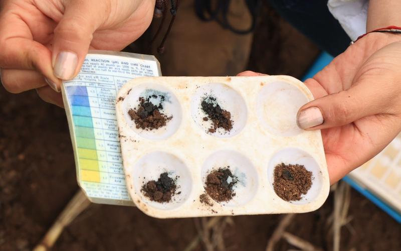 Guatemala ingresa a red mundial de laboratorios de suelo