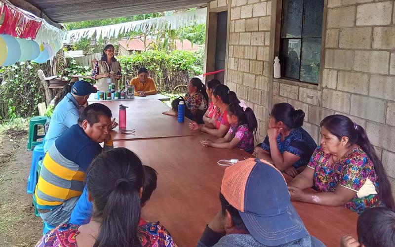 Importancia de los huertos familiares en la seguridad alimentaria
