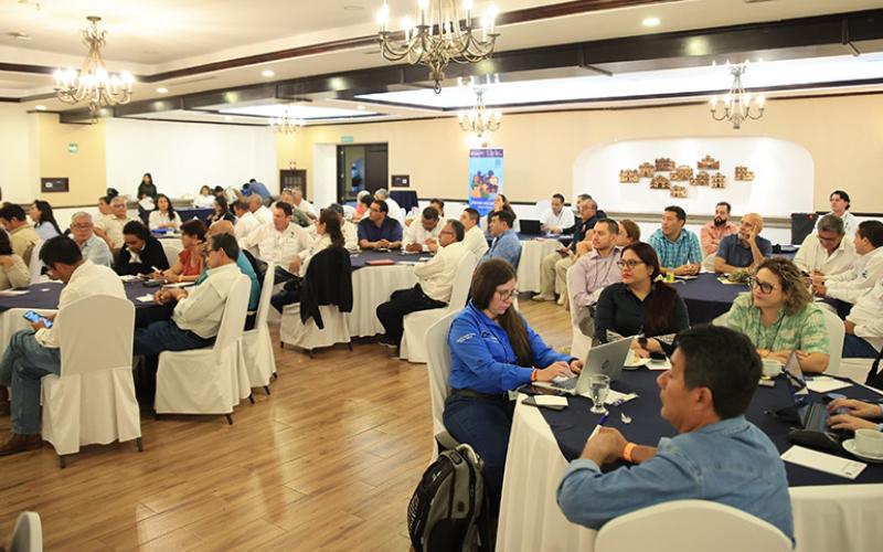 Inicia simulacro de Influenza Aviar