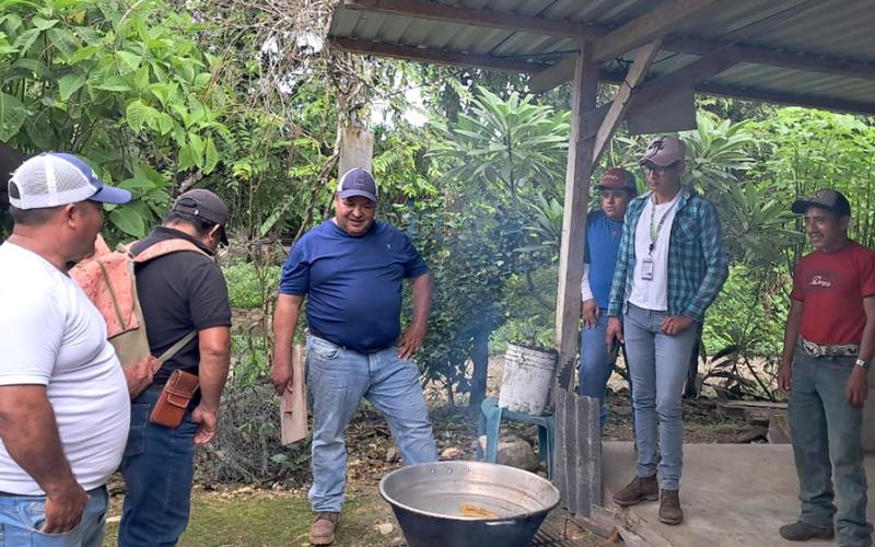 Peteneros aprenden la elaboración artesanal de láminas de cera
