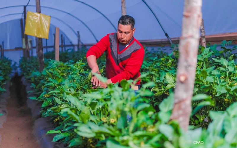 Presentan resultados del proyecto de Apoyo al Plan de Desarrollo Integral (PDI) para Centroamérica