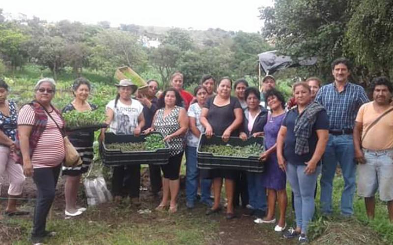 Se brinda seguimiento y asistencia técnica a huertos familiares de Villa Nueva