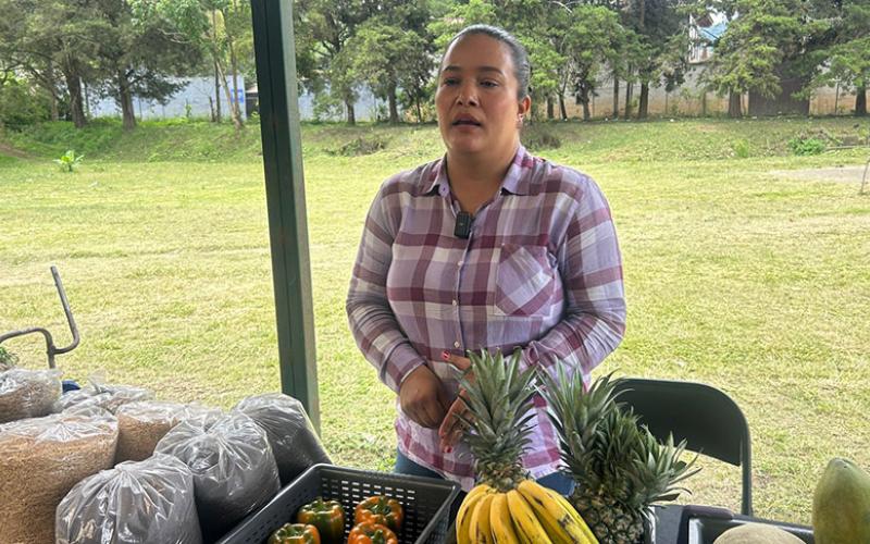 Siembra una parcela y cosecha una empresa familiar