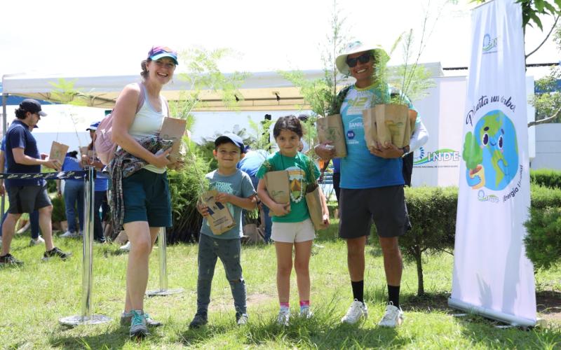 Durante la actividad se entregaron arbolitos de las especies Ciprés Común, Jacaranda y Pino Maximinoi.