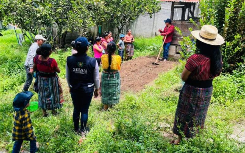 Inicia el diálogo nacional para establecer hoja de ruta y plan de acción de los sistemas alimentarios sostenibles en Guatemala