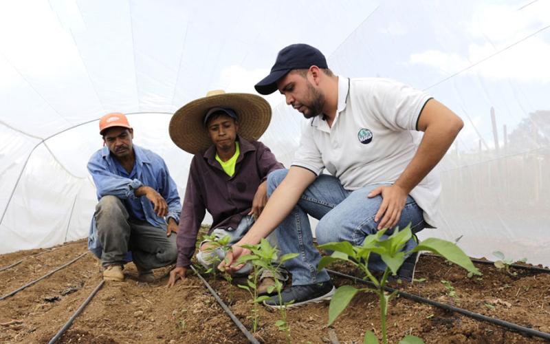 Ampliada convocatoria para profesionales extensionistas