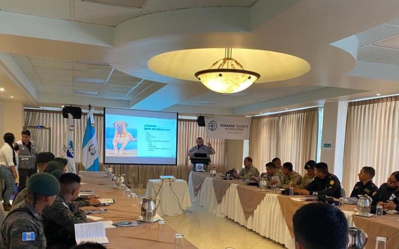 Autoridades competentes relacionadas al bienestar animal optimizan sus capacidades 