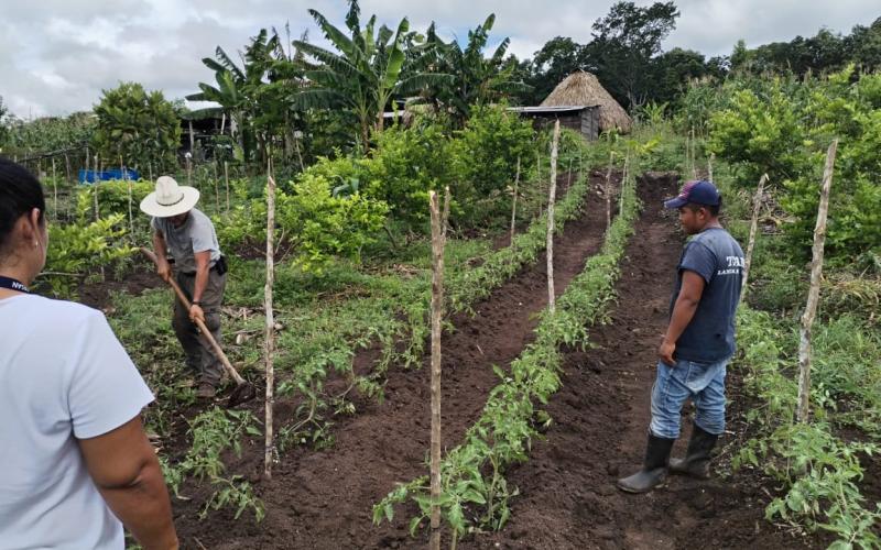 Brindan asistencia técnica para establecer un sistema MIAF