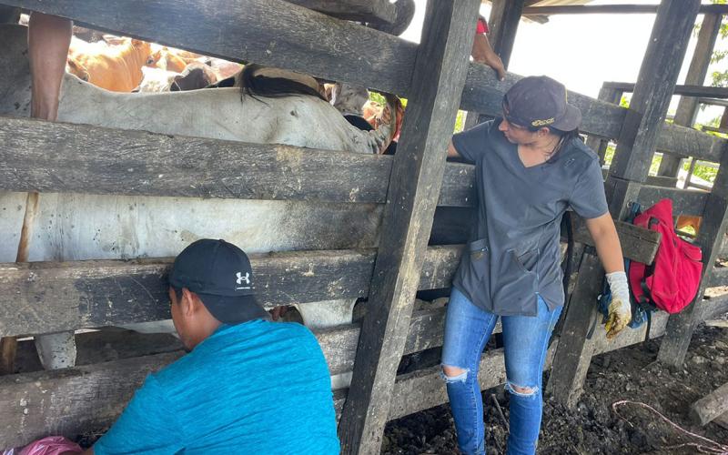 Capacitan a nuevos técnicos pecuarios