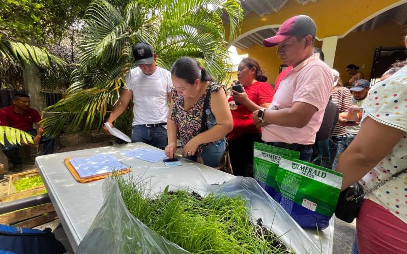 Centros educativos de El Progreso reciben pilones de hortalizas para huertos