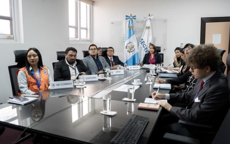 Delegación de Guatemala en reunión virtual con representantes de Colombia. 