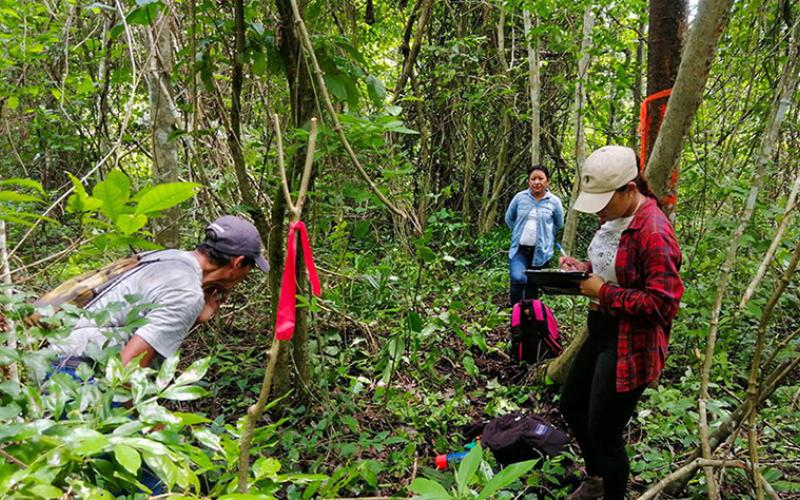 Continúa el apoyo a los silvicultores de Petén