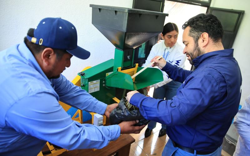 Energía solar y tecnología sostenible apoyan producción de té