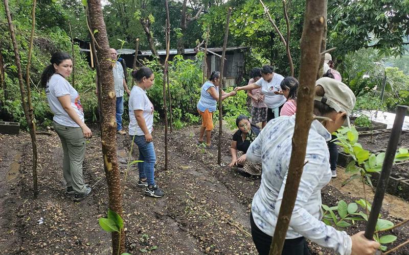 Entregan pilones de hortalizas en San Benito, Petén