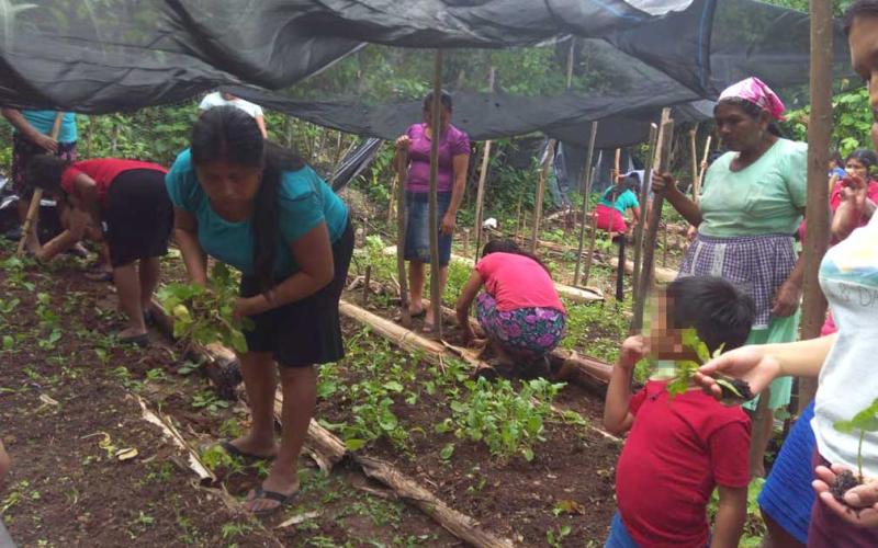 Familias de Chiquimula se benefician con pilones para sus huertos