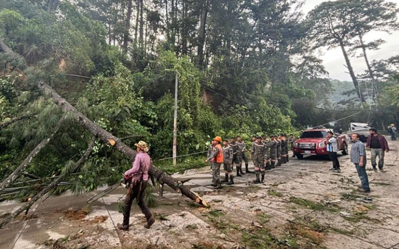 Ejército de Guatemala apoyó descobramiento de árbol que obstaculizaba la carretera que conduce al municipio de San Juan Sacatepéquez.