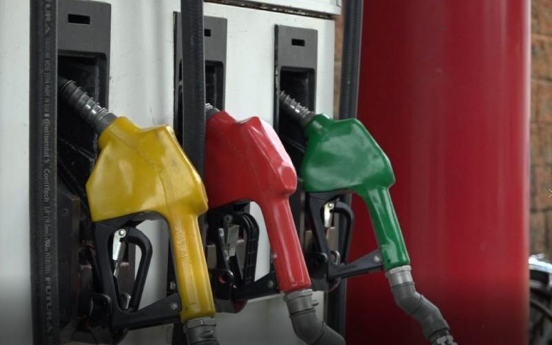 Precios de los combustibles muestran tendencia a la baja
