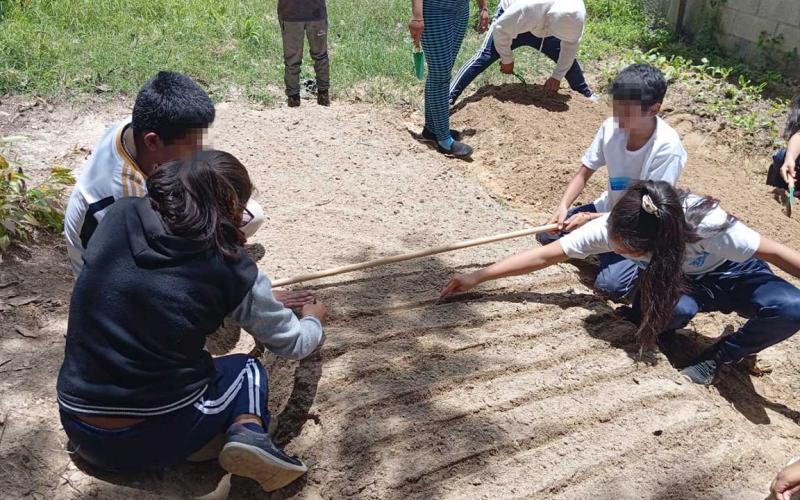 Huerto Escolar de Las Tejas, un espacio para aprender y crecer