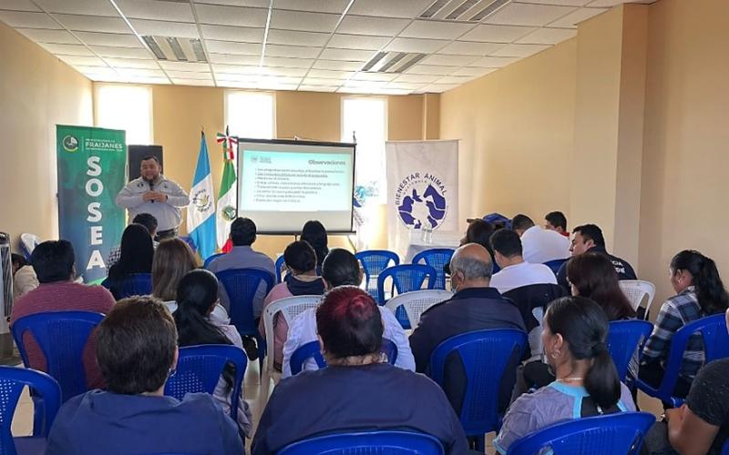 Instrucción a autoridades policiales y municipales es clave para el resguardo de los animales 