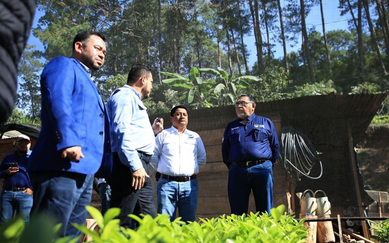 Integran Mesa Técnica para recuperar la cadena productiva de cardamomo