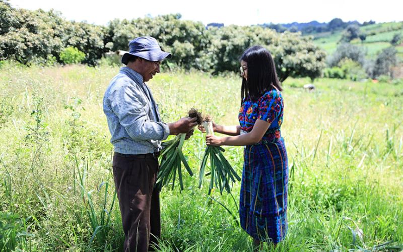 Jóvenes practican el extensionismo rural