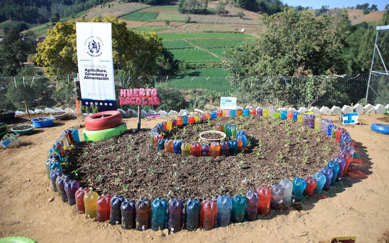 Los Huertos Escolares se han implementado en más de tres mil establecimientos