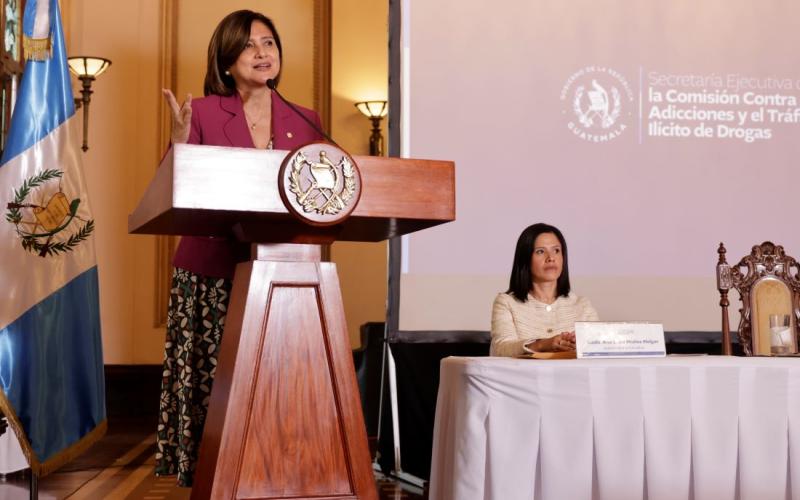 Karin Herrera, Presidenta en funciones