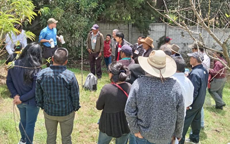Productores fortalecen sus capacidades para el control integrado de la mosca de la fruta