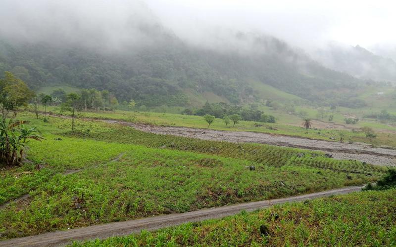 Pronóstico de lluvias de la semana en distintas regiones del país