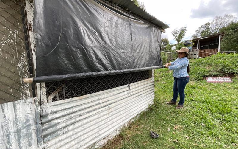 Recomendaciones agropecuarias ante onda tropical que ocasiona lluvias fuertes
