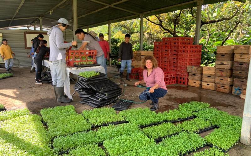 Se entregan pilones de hortalizas para implementar huertos escolares