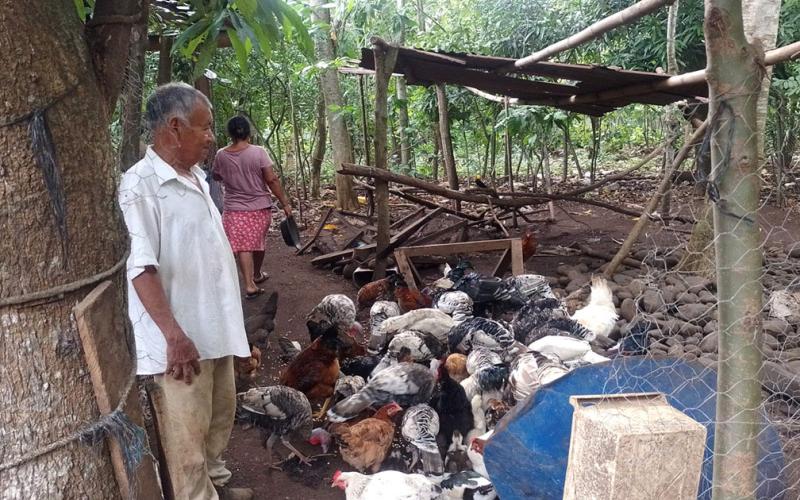 Verifican proyectos comunitarios elegibles para Alimentos por Acciones