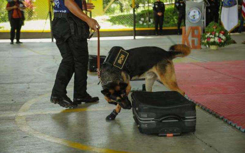 Los agentes K9 de la SBS fueron reconocidos entre los primeros tres lugares del curso de actualización.