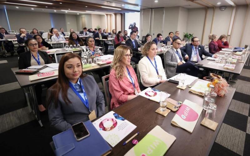 En la reunión preparatoria de la VIII Reunión de Ministros de Centroamérica y República Dominicana de la Organización Mundial de la Propiedad Intelectual (OMPI) participan  técnicos de los países convocados.