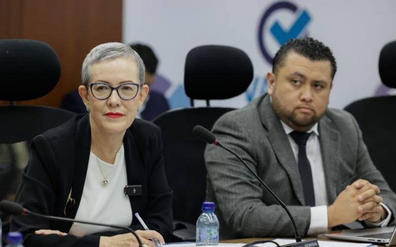 La viceministra de Desarrollo de la MIPYME, Elizabeth Ugalde, sostuvo una reunión con la Comisión de Pequeña y Mediana Empresa del Congreso de la República