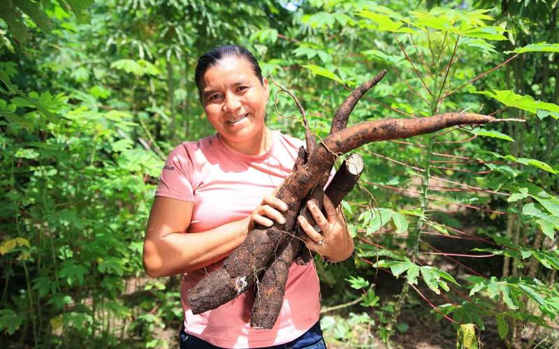 A la yuca también se le conoce como mandioca