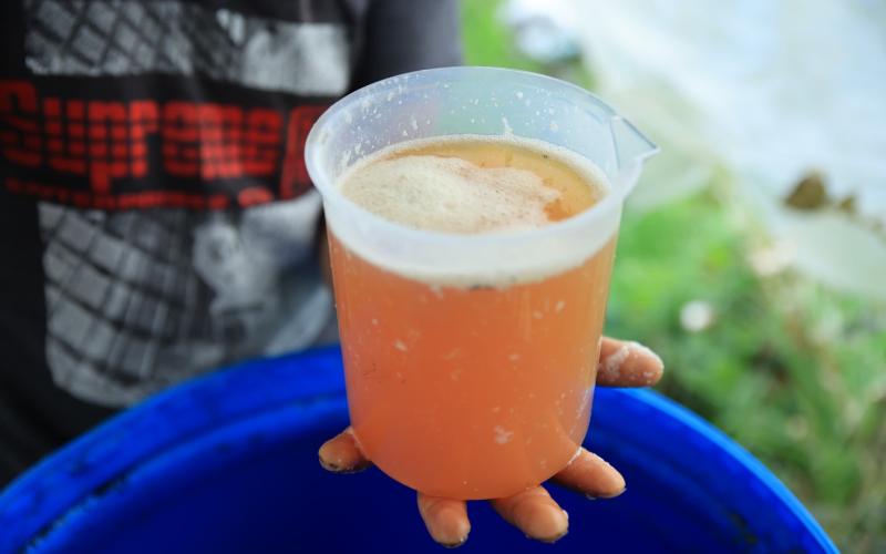 Abono Orgánico líquido