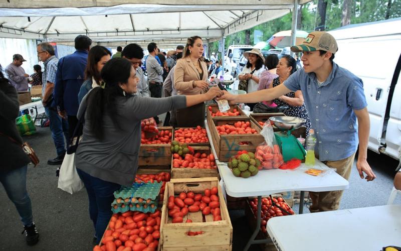 Adquiera sus productos para elaboración del fiambre en la Feria del Agricultor