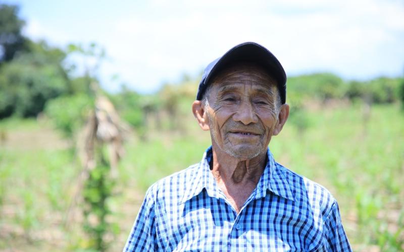 Así es la cobertura del Seguro Agropecuario