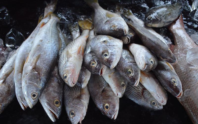 Beneficios de comer pescado 