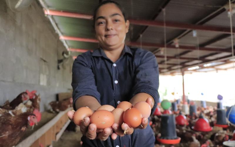 Beneficios del huevo