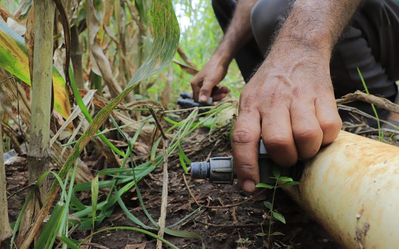 Beneficios del riego por goteo 