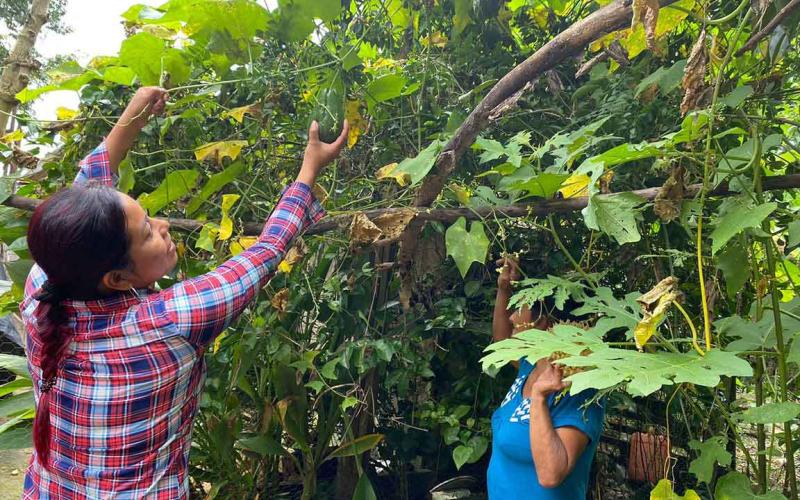 Brindan asistencia a productores rurales de Zona de Adyacencia