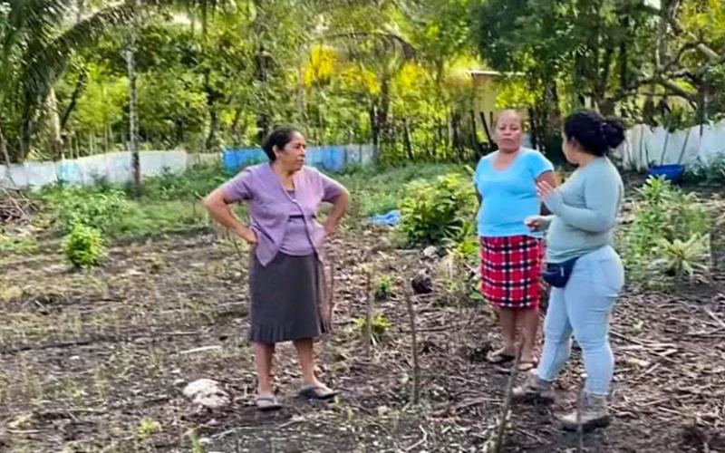 Brindan asistencia técnica en parcela demostrativa de Nueva Alianza, Poptún