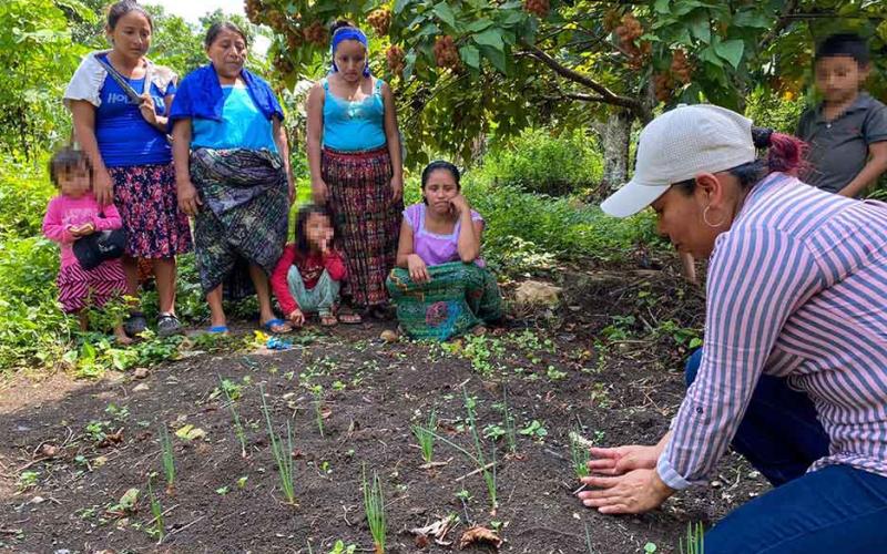 Brindan asistencia técnica en huertos familiares