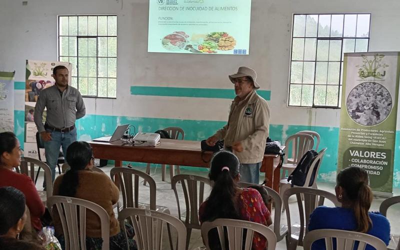 Buenas Prácticas fortalecen conocimientos de productoras y productores de Alta Verapaz