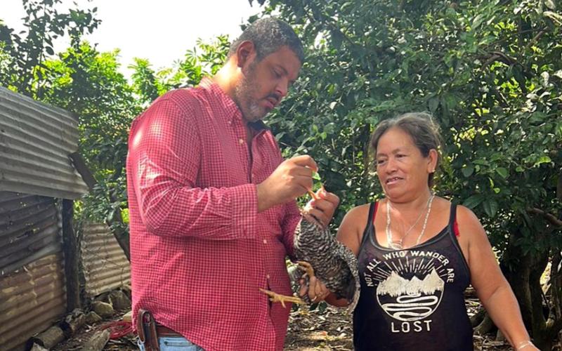Campaña de vacunación de aves de traspatio en la Libertad, Petén 