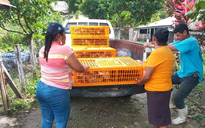 Comunidad de San José Las Flores recibe granja avícola 