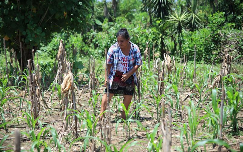 Conozca en qué consiste un seguro paramétrico